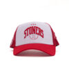 VARSITY ICONS - Image 2