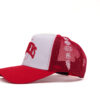 VARSITY ICONS - Image 5